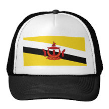 Brunei Flag Hat
