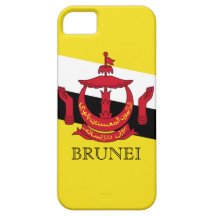brunei iPhone 5 cases