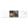 Bruno Liljefors - Partridge w/ Daisies 1890 bird Bumper Sticker