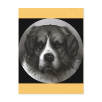 Bruno Postcard