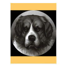 Bruno Postcard
