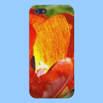 Brushed Tulip iPhone 5 case iphone cases