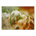 Brushstroke Snowdrops Card