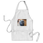 Brussels Griffon Aprons
