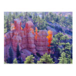 Bryce Canyon Glowing Postcard