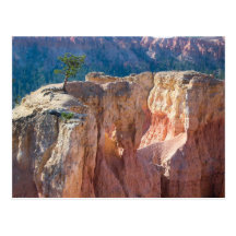 Bryce Canyon National Park Post Card