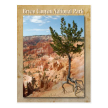 Bryce Canyon National Park,  Utah Postcard