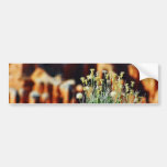 Bryce Canyon Rim Bumper Stickers