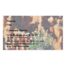 Bryce Canyon Rim Business Card Template