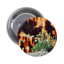 Bryce Canyon Rim Pin