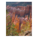 Bryce Post Cards