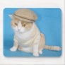 Bubba Kitty Mousepad