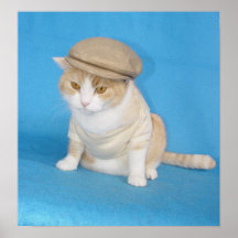 Bubba Kitty Posters