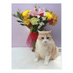 Bubba par des fleurs cartes postales
