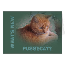 Bubba the Orange Tabby Tomcat Greeting Cards