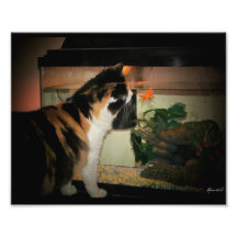 Bubble Kiss Art Photo