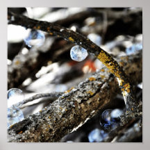 Bubble Tree Poster