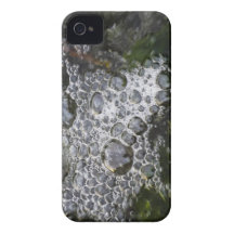 Bubbles Case-Mate iPhone 4 Case