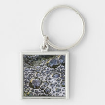 Bubbles Key Chains