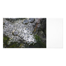 Bubbles Personalized Photo Card