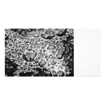 Bubbles Photo Card Template