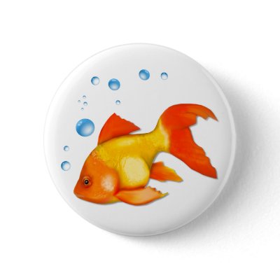 Bubbles the Goldfish by Spice