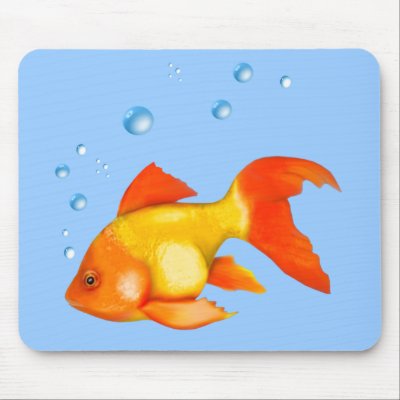 Bubbles the Goldfish by Spice