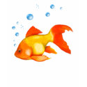 Bubbles the Goldfish t-shirts