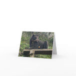 Bubu Avocado Notecard