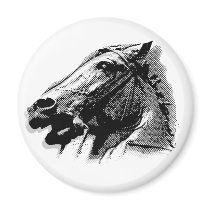 Bucephalus Magnet