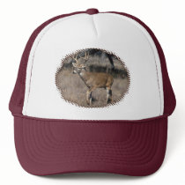 Buck Hat