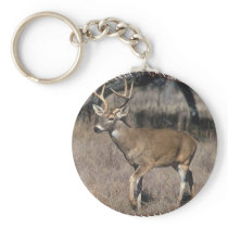 Buck Keychain