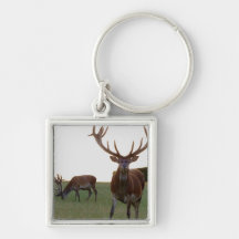 Buck  Keychain