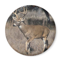 Buck Magnet