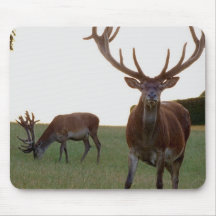 Buck  Mouse Pads