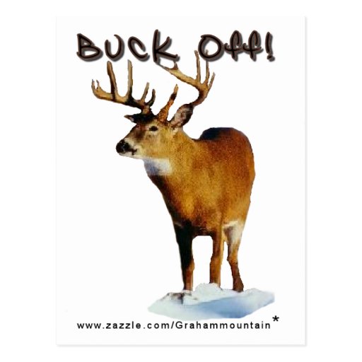 Buck Off! Postcard