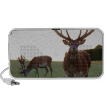 Buck Portable Speakers