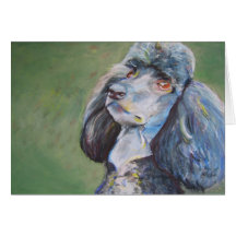 Buck, Standard Poodle Greeting Cards