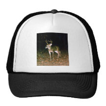 Buck White Tail Deer Trucker Hat