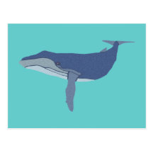 Buckelwal humpback whale postkarte