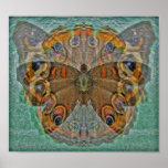 Buckeye butterfly - Print