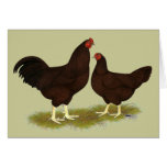 Buckeye Chickens Card