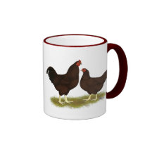 Buckeye Chickens Mugs