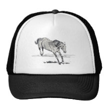 Bucking Mesh Hat