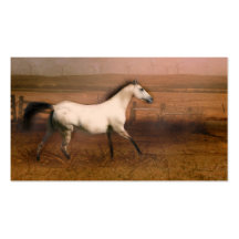 Buckskin horse business cards