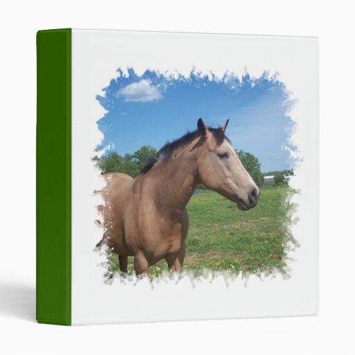 Buckskin Mustang Binder