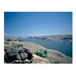 Buckwheat Flower Over Columbia River flowers Post Cards