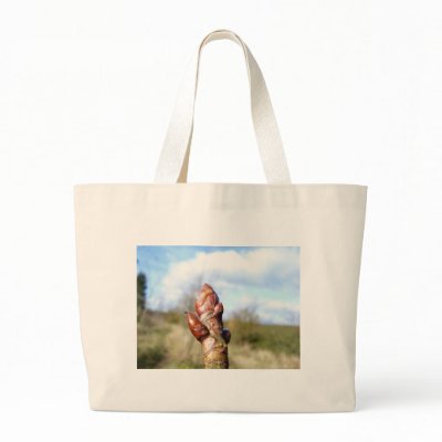 bud of a horse chest nut canvas bag by Eyefish