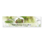 Bud To Blossom - White Hellebores Bumper Sticker