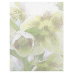 Bud To Blossom - White Hellebores Customized Letterhead